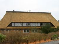 Fensterfront in weiß Dachgaube Reetdach