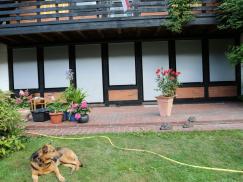 Rollläden in weiß an Fensterfront