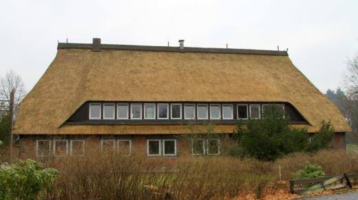 Fensterfront in weiß Dachgaube Reetdach