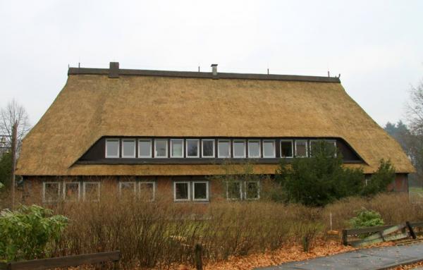 Fensterfront in weiß Dachgaube Reetdach